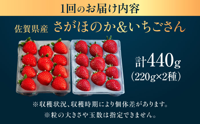 【3回定期便】赤いちご食べ比べ定期便（毎月 約440g） /有限会社しげやす [UEQ006]