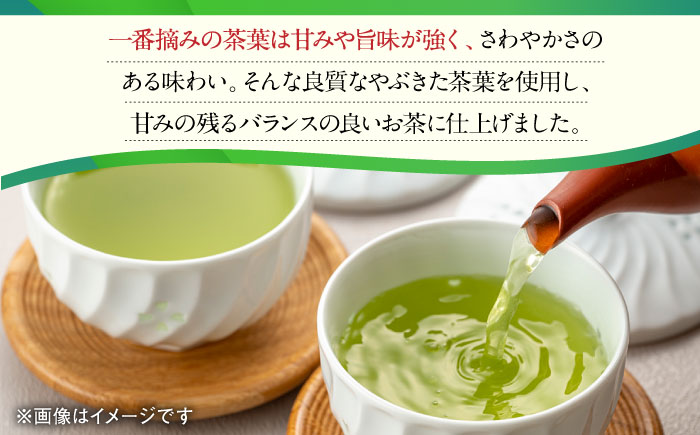 【12回定期便】一番摘み茶葉使用 うれしの茶 2本入（やぶきた 玉門 100g×2本） /お茶の深香園 [UAF009] 茶 お茶 緑茶 日本茶 煎茶