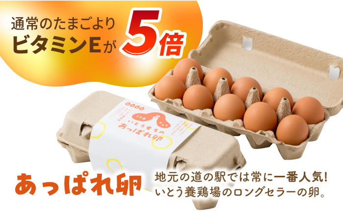 【卵かけご飯セット】いとう君ちのあっぱれ卵20個・卵かけ醤油「たましょー」セット /いとう養鶏場 [UAQ007] 卵 たまご 鶏卵 しょうゆ