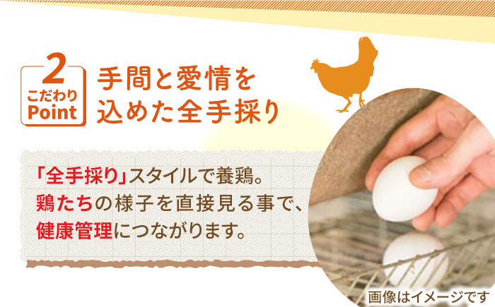 【3回定期便】いとう君ちのあっぱれ卵 24個（6個×4パック）ギフトBOX /いとう養鶏場 [UAQ009] 卵 たまご 鶏卵