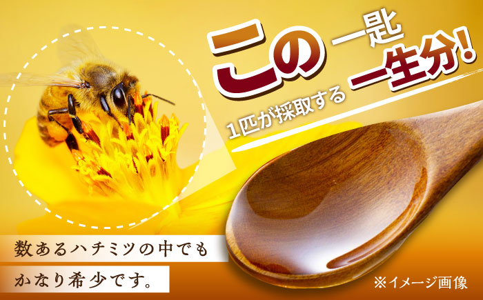 コクと味わい深い甘み】日本蜜蜂 百花 はちみつ 計400g（200g×2）純粋蜂蜜 /永尾 忠則 [UAS004] 蜂蜜 ハチミツ 日本ミツバチ:  武雄市ANAのふるさと納税