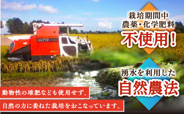 自然農法で育てた特別栽培米 令和7年産 新米 ヒノヒカリ 玄米 6kg（3kg×2袋）/永尾 忠則 [UAS006]