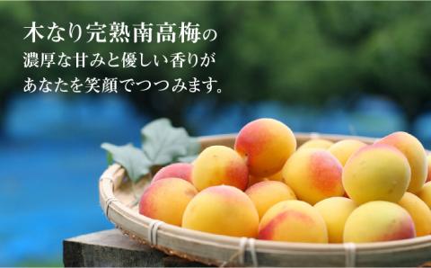 【まろやかな日本酒仕込みの梅酒】百笑 梅酒 185ml×2本、200ml×1本 /お百笑さん [UAZ005] 酒 お酒 日本酒 梅酒 セット