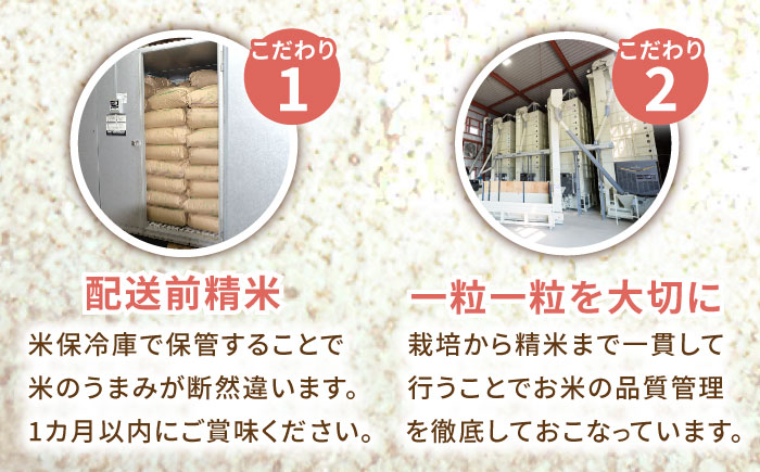【最高ランク 特A評価】令和6年産 夢しずく 玄米 10kg /江口農園[UBF015] 玄米 米 お米 精米 佐賀県産 特A