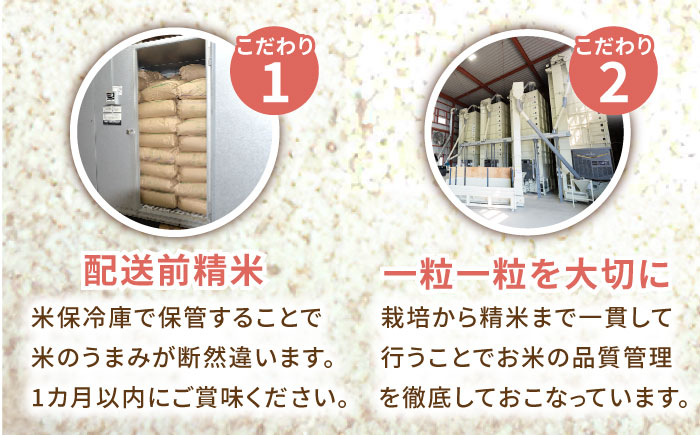 【先行予約】【10月下旬以降順次発送】＜15年連続特A評価＞令和6年産 白米 食べ比べセット 計20kg ( さがびより ヒノヒカリ 各10kg ) 配送前精米/江口農園[UBF020] 白米 米 お米 精米 佐賀県産 特A