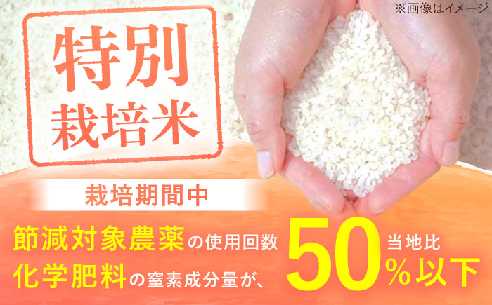 【6回定期便】さがびより 白米 10kg＜16年連続特A評価＞ 配送前精米/江口農園[UBF028] 白米 米 お米 精米 佐賀県産 特A