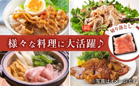 【きめが細かくやわらか～い】若楠三元豚 切り落とし ハンバーグ セット 総計1.1kg /ナチュラルフーズ [UBH010] 三元豚 豚肉 豚 肉