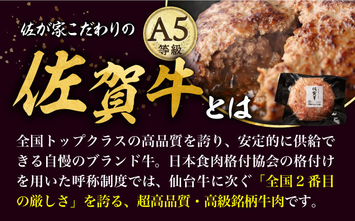 佐賀牛と若楠三元豚のハンバーグ 食べ比べセット 計8個 /ナチュラルフーズ [UBH051] 牛肉 牛 豚肉 豚 肉 ハンバーグ 個包装