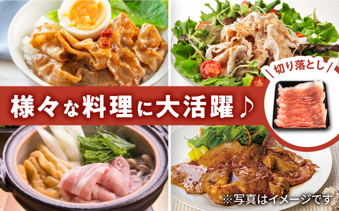 【2026年2月開始】【3回定期便】若楠三元豚 切り落とし 1kg（250g×4パック）/ナチュラルフーズ [UBH074]