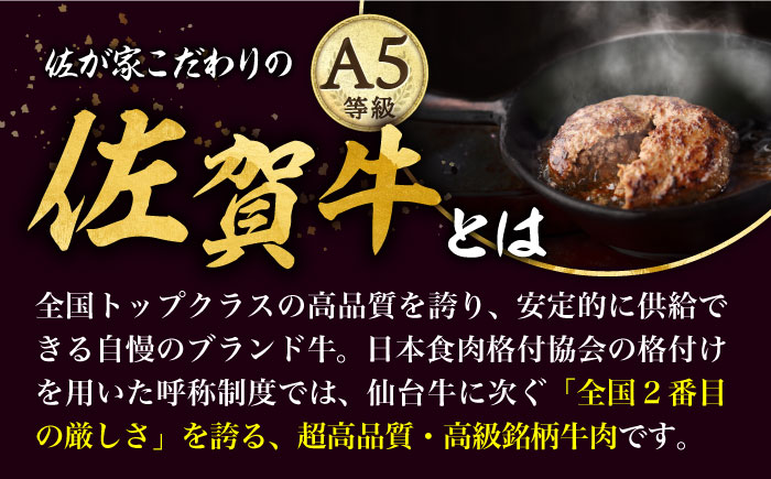 【2026年2月開始】【6回定期便】佐賀牛と若楠三元豚のハンバーグ 食べ比べセット 計4個（2種×2個）/ナチュラルフーズ [UBH083]