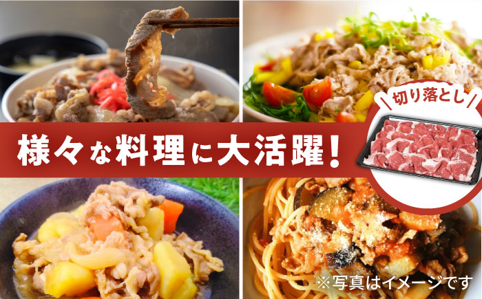 【2026年2月以降発送】【いろいろなお料理に】佐賀牛 バラ 切り落とし 800g（200g×4パック）/ナチュラルフーズ [UBH090] 牛肉 肉 小分け