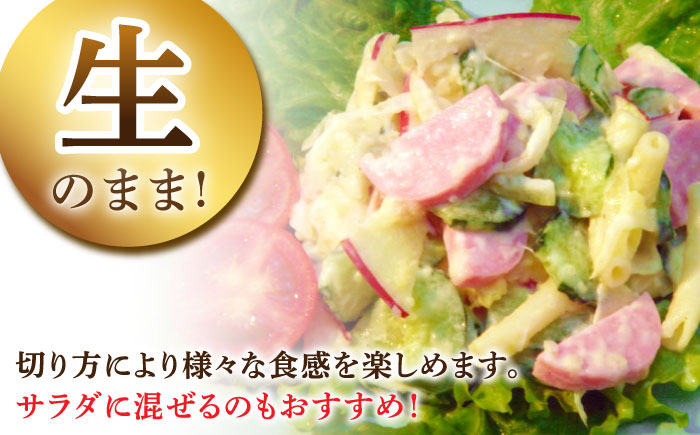 【6回定期便】宮地ハムのロングセラー ボロニアソーセージ 100g×7本 /宮地ハム [UBM012] 豚肉 豚 肉 ソーセージ