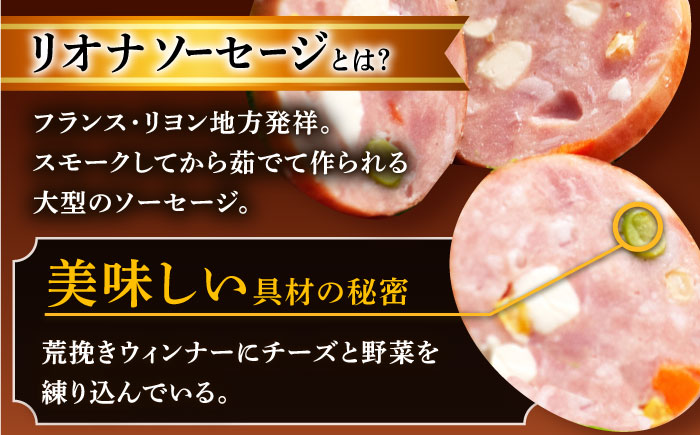 【3回定期便】リオナソーセージ 200g×3本 /宮地ハム [UBM030] 豚肉 豚