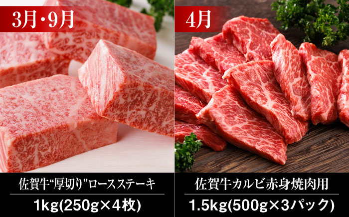 【全12回】 A5ランク 佐賀牛 最上級 プレミアム 定期便 約4-6人前 総計15.4kg 100万 /焼肉どすこい [UCC003] 最高級 牛肉 肉 ステーキ スライス ローストビーフ ヒレ