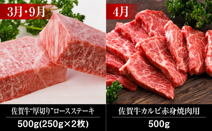 【全12回】 A5ランク 佐賀牛 霜降り 食べ比べ 定期便 約2-3人前 総計6.8kg /焼肉どすこい [UCC004] 最高級 牛肉 肉 ステーキ スライス ローストビーフ 焼肉