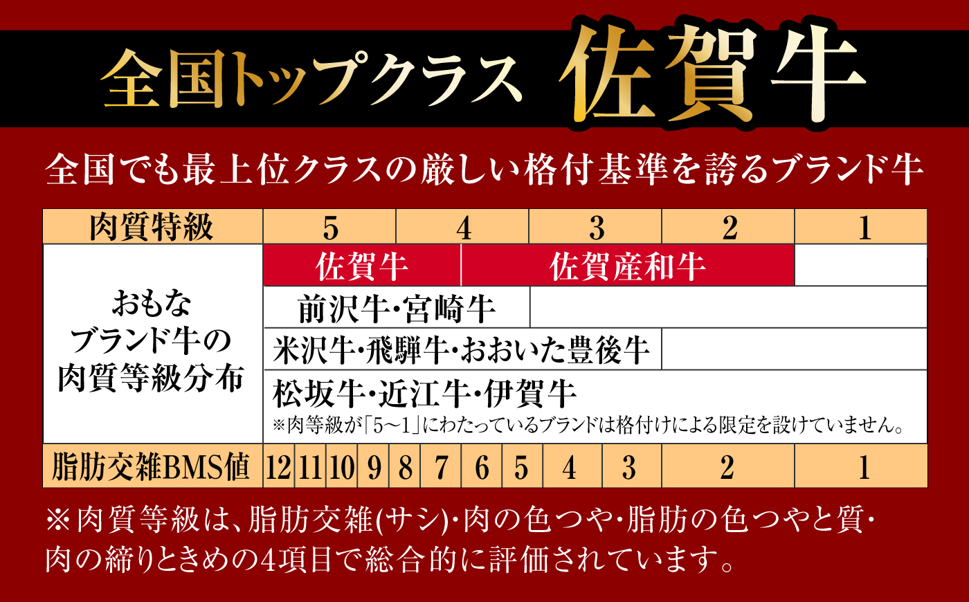 A4 A5等級 佐賀牛 ヒレステーキ 400g（200g×2枚） /焼肉どすこい [UCC031]