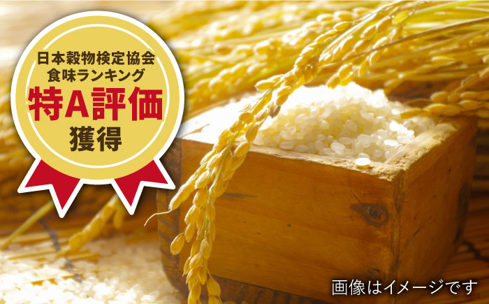 【3回定期便】令和7年産 武雄市若木産 夢しずく 10kg（5kg×2袋）/肥前糧食株式会社【配送エリア限定】 [UCL004] 白米