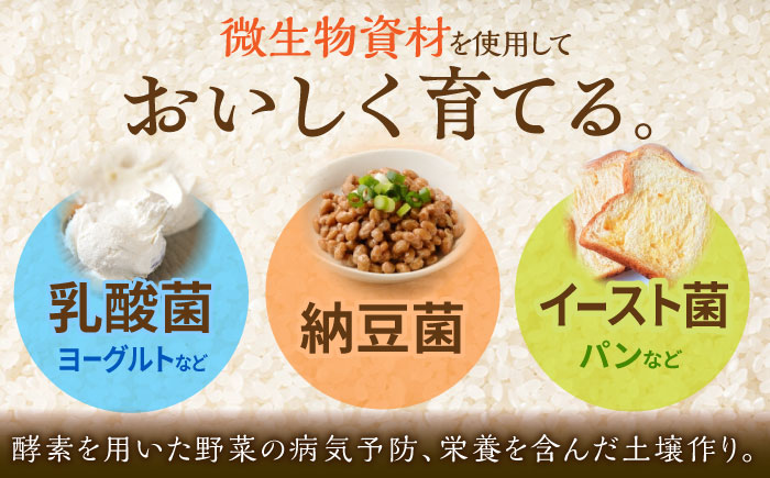 【特別栽培米！】令和7年産 新米 さがびより 5kg 武雄市橘産 /よしたか農園 [UCY001] 白米 米 お米 こめ 精米 ブランド米