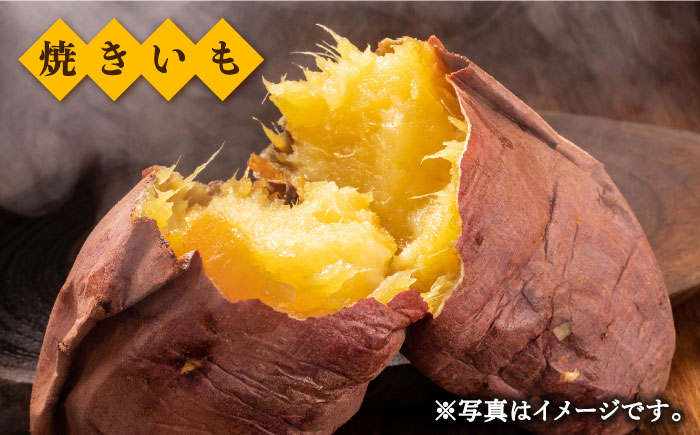 佐賀県武雄市産 さつまいも 紅はるか 約5kg /おかわりのうえん [UDD001] 芋 いも サツマイモ