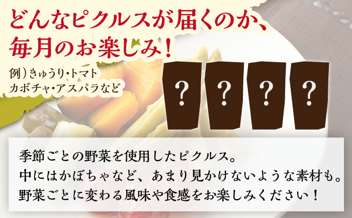 【4回定期便】季節のピクルス 4種セット /おかわりのうえん [UDD004] 漬物 加工品 惣菜 野菜