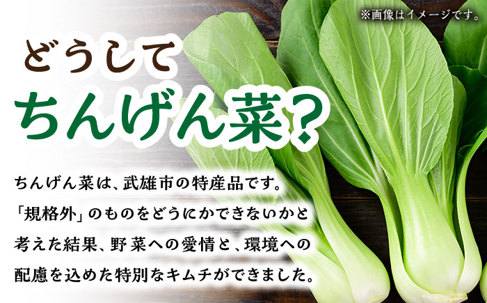 【やみつきのシャキシャキ食感】ちんげん菜キムチ 2袋セット /おかわりのうえん [UDD005] 漬物 チンゲンサイ キムチ 野菜