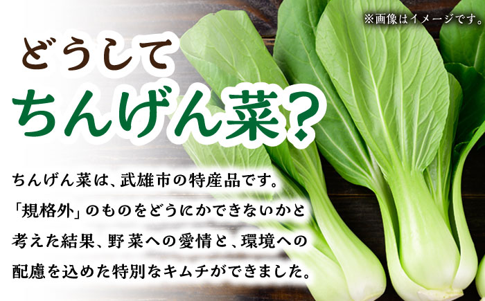 【6回定期便】ちんげん菜キムチ 2袋セット /おかわりのうえん [UDD007] 漬物 チンゲンサイ キムチ 野菜