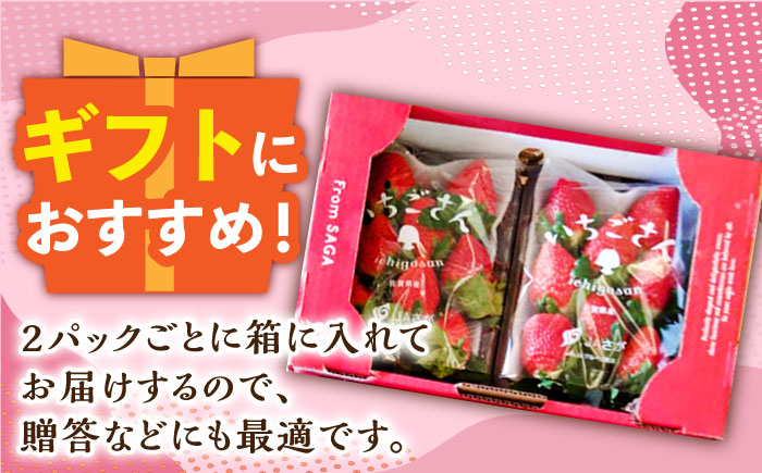 【先行予約】佐賀のブランドいちご いちごさん 約920g（約230g×4p）/中村青果店 [UDK006] いちご イチゴ 苺 果物 フルーツ