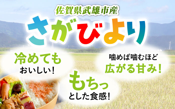 【3回定期便】令和7年産 新米 さがびより 白米 5kg /JA食糧さが [UDS005]