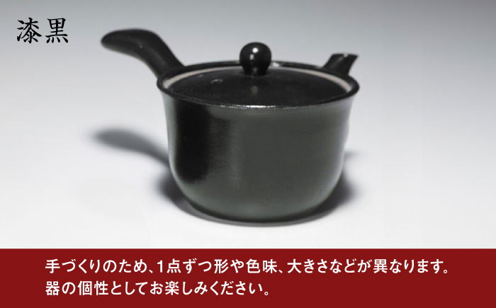 粗土珈琲急須 漆黒 /やきもの工房 成 [UDU008]