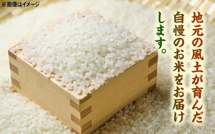 【特A評価獲得】令和7年産 新米 武雄市産 夢しずく 10kg（5kg×2袋） /株式会社 y's company（utsu和ya） [UDX020] 白米 お米