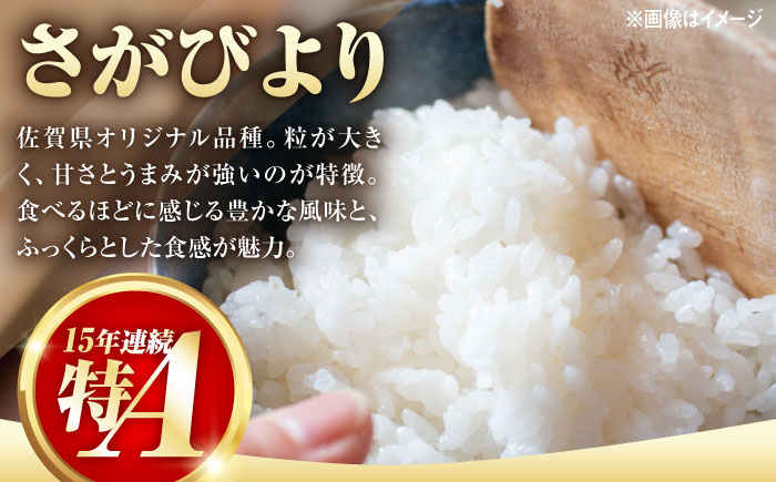 【特A評価獲得】武雄産米 2種お試し食べ比べセット　さがびより・夢しずく 2合(300g)×2袋 /株式会社 y’s company（utsu和ya） [UDX022] 白米 お米