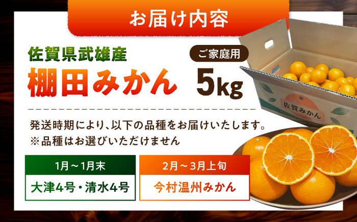 武雄産棚田みかん 5kg ご家庭用（S～Lサイズ混合） /株式会社 y’s company（utsu和ya） [UDX027] 果物 柑橘