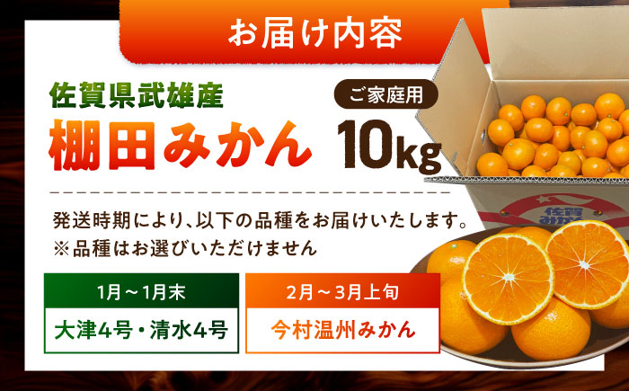 武雄産棚田みかん 10kg ご家庭用（S～Lサイズ混合） /株式会社 y’s company（utsu和ya） [UDX028]果物 柑橘