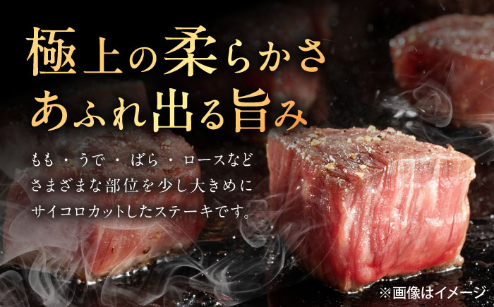 【6回定期便】佐賀牛 サイコロステーキ 500g /MKミート武雄 [UEM026]