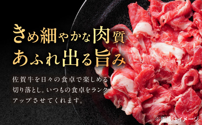 【6回定期便】佐賀牛 切り落とし 1.2kg（600g×2p） /MKミート武雄 [UEM036]