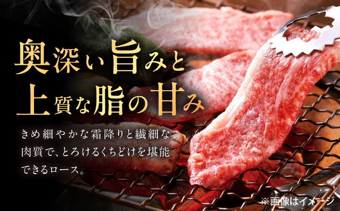 【6回定期便】佐賀牛 ロース 焼肉用 500g /MKミート武雄 [UEM056]