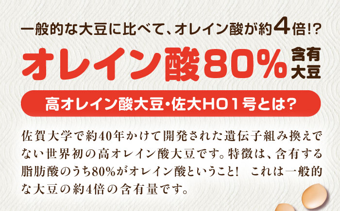 白大豆グラッセ 15袋（個包装タイプ） / 光武製菓株式会社 [UEN011] お菓子 和菓子 豆菓子