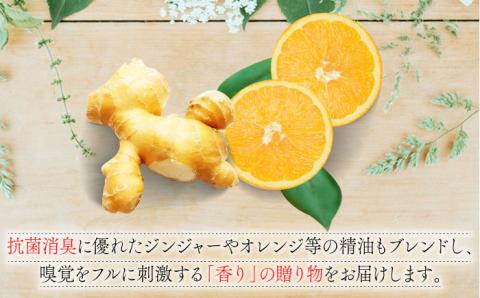 【爽やかな香りに癒される】レモングラス アロマミスト 2本セット /Maria Stella [UAD001] アロマ 香り 雑貨