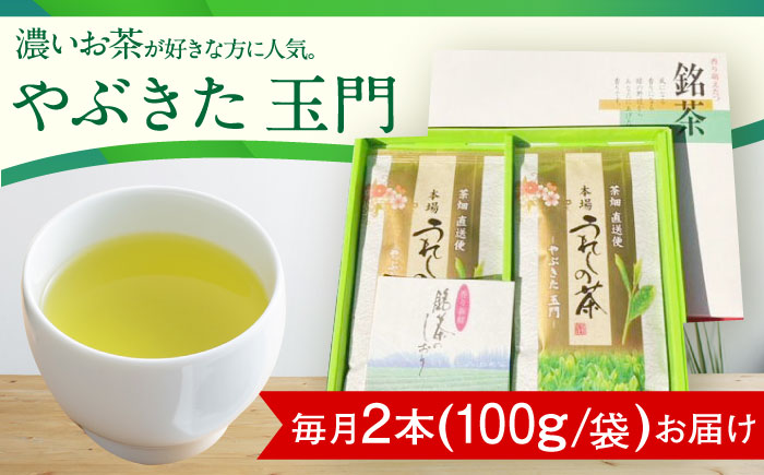 【3回定期便】一番摘み茶葉使用 うれしの茶 2本入（やぶきた 玉門 100g×2本） /お茶の深香園 [UAF007] 茶 お茶 緑茶 日本茶 煎茶