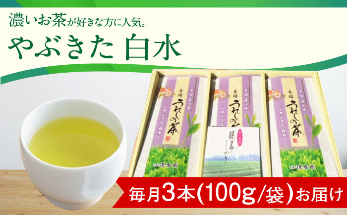 【6回定期便】一番摘み茶葉使用 うれしの茶 3本入（やぶきた 白水 100g×3本） /お茶の深香園 [UAF012] 茶 お茶 緑茶 日本茶 煎茶