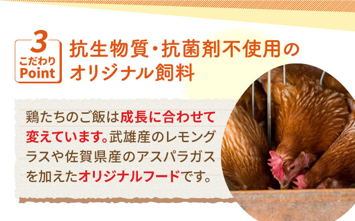 【6回定期便】いとう君ちのあっぱれ卵 24個（6個×4パック）ギフトBOX /いとう養鶏場 [UAQ010]