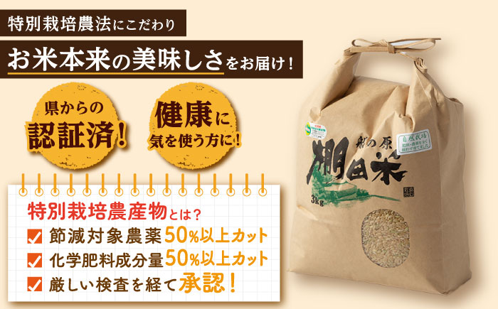 自然農法で育てた特別栽培米 令和7年産 新米 ヒノヒカリ 玄米 6kg（3kg×2袋）/永尾 忠則 [UAS006]