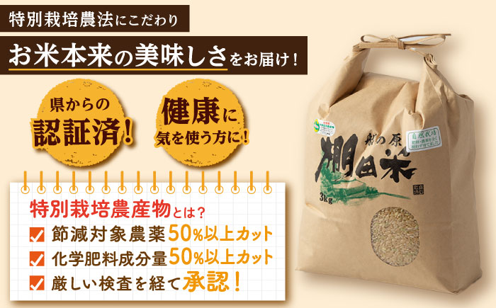 自然農法で育てた特別栽培米 令和7年産 新米 ヒノヒカリ 玄米 9kg（3kg×3袋）/永尾 忠則 [UAS007]