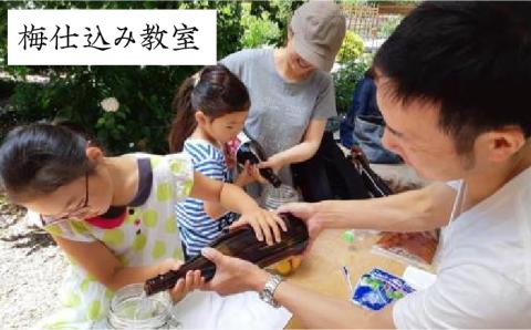 【愛犬と楽しいひと時を！】Cafe 百笑茶屋＆ドッグランで使える共通 チケット /お百笑さん [UAZ002] 体験 食事券 チケット