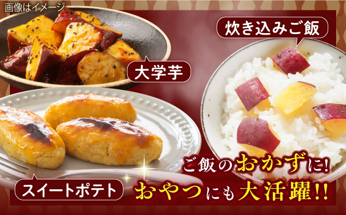 紅はるか（甘太くん）焼き芋 約1.5?s /愛まんてん [UBD008]