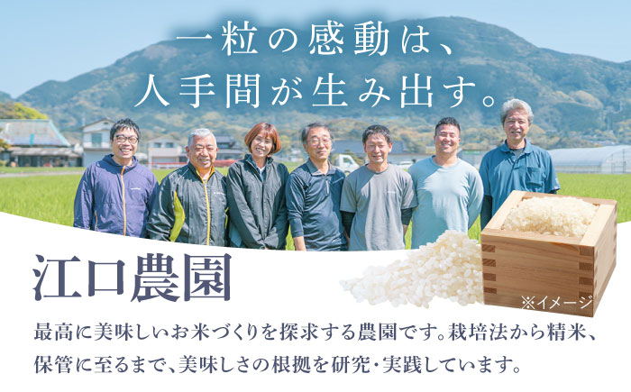 【1月発送】＜15年連続特A評価＞新米 令和7年産 さがびより 白米 10kg 配送前精米 /江口農園 [UBF004] 白米 米 お米 精米 佐賀県産 特A