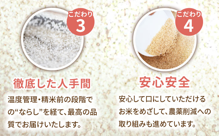 【11月発送開始】【6回定期便】令和6年産 さがびより 白米 5kg＜15年連続特A評価＞ 配送前精米/江口農園 [UBF007] さがびより 白米 米 お米 精米 佐賀県産 特A