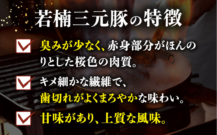 【2026年2月開始】【6回定期便】肉汁たっぷり 若楠三元豚ハンバーグ 150g×8個 /ナチュラルフーズ [UBH057]