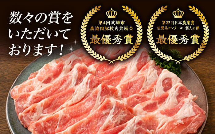 【2026年2月開始】【6回定期便】若楠三元豚 切り落とし 1kg（250g×4パック）/ナチュラルフーズ [UBH075]
