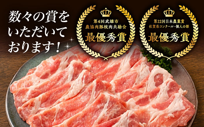 若楠三元豚 切り落とし 3kg（250g×12p）/ナチュラルフーズ [UBH124]